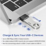 Elebase USB to USB C Adapter for iPhone 17 4Pack - Image 2