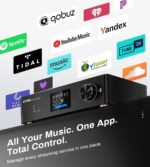 P30 300W x 2 Multiroom Streaming Amplifier Stereo Music Streamer - Image 3