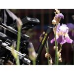 DZOFILM X-Tract 18-28mm T8 2.1x Macro Probe Lens for PL Mount - Image 5